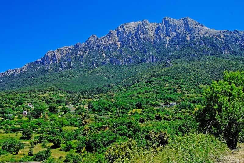 Отель S'Enis Monte Maccione Ольена Экстерьер фото